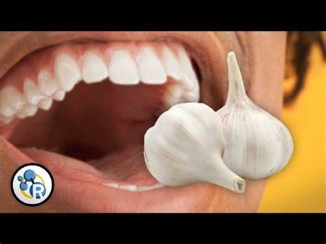 What Causes Garlic Breath? - Reactions | Garlic breath, Causes of bad ...