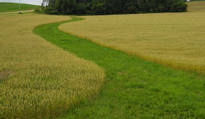 Grassed waterways can help maintain soil quality and productivity ...