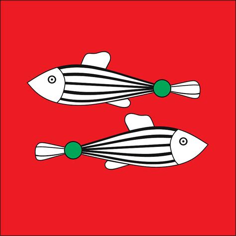 Fish in red square Digital Art by Ilona Matushkova - Fine Art America