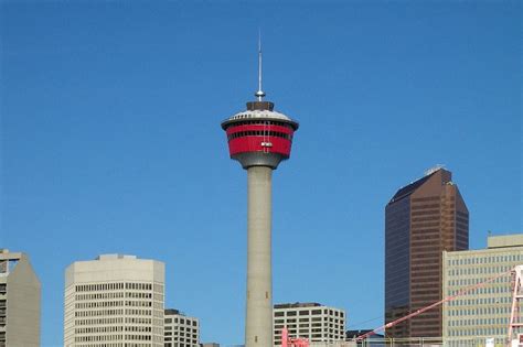 Horse to ride to top of Calgary Tower - 660 NEWS