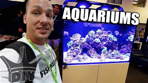 AQUARIUM SHOW tour!! - YouTube