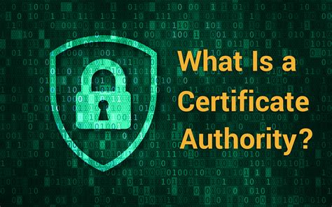 What Is a Certificate Authority? Certification Authorities Explained ...