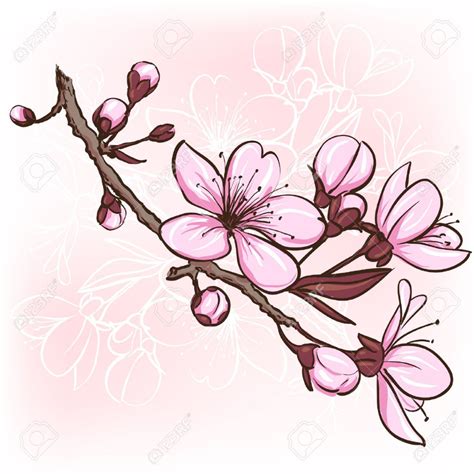 Cherry blossom Decorative floral illustration of sakura flowers Stock ...