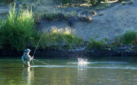 Fly Fishing Ants: How To Effectively Fish Ant Patterns - Into Fly Fishing