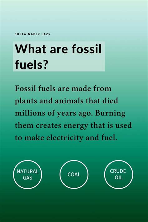 Top 81+ imagen facts about fossil fuels - Abzlocal.mx