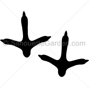 Turkey Feet Silhouette