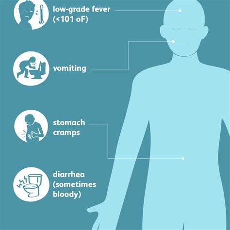 E. coli infection, Shiga toxin-producing1 – Exploring Biology