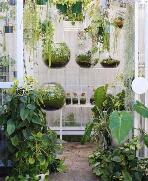 50 Indoor Garden Ideas - How to Make Your Own Indoor Garden at Home