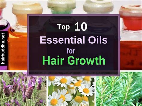 10 Best Essential Oils For Hair Growth and Scalp Health - hair buddha