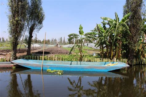 Chinampas: Urban Farming In Mexico City | Garden Culture Magazine