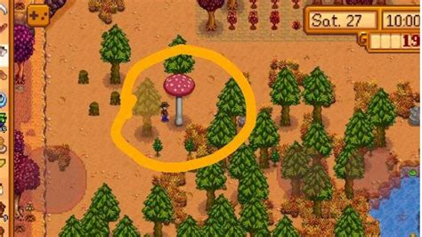 How to Unlock Mushroom Logs in Stardew Valley - Sportslumo