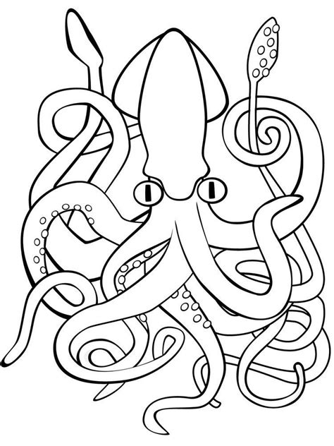 33 Best Colossal squid coloring page for Printable | Kid Coloring Pages