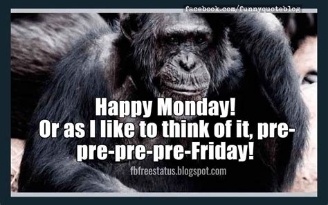 an image of a monkey saying happy monday or as i like to think of it ...