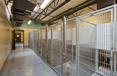 Veterinary Hospital Design & Animal Shelter Design | Animal shelter ...