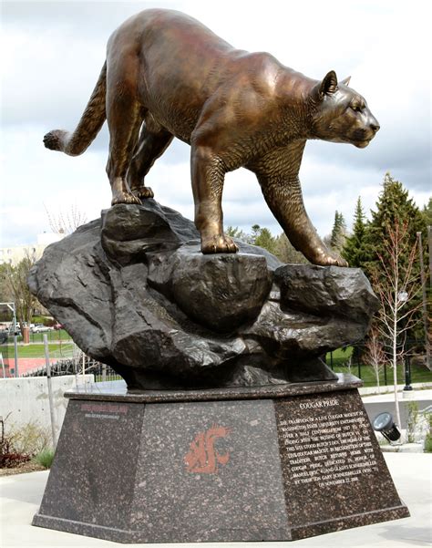 Cougar Pride | Bronze Cougar Mascot University Sculpture Monument