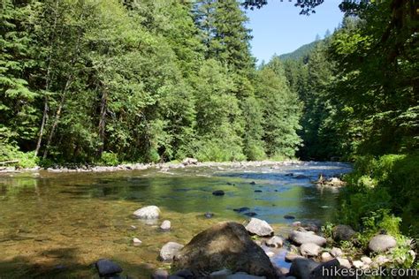 Old Salmon River Trail in Mount Hood National Forest | LaptrinhX / News