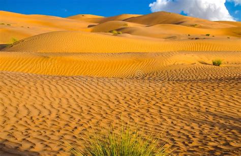 Sand Dunes in the Arabian Desert Stock Image - Image of fascinating ...