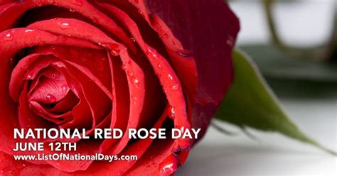 NATIONAL RED ROSE DAY - List Of National Days