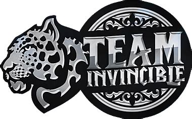 Team invincible (Team invincible) Dota 2, roster, matches, statistics