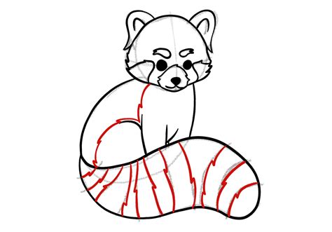 How to Draw a Red Panda | Design School