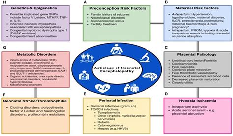 Frontiers | Neonatal Encephalopathy: Need for Recognition of Multiple ...