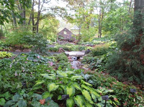 Green Bay Botanical Garden | Mark's Garden Ruminations