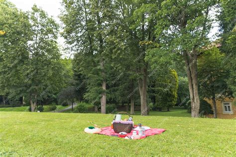 Free Photo | Picnic basket on the grass field