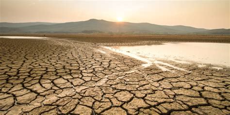 Water Scarcity Essay - 100, 200, 500 Words