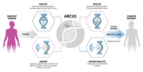 Cancer Immunotherapy - Precision BioSciences