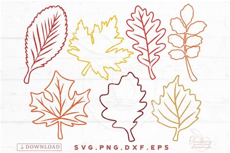 Leaf Outline, Fall Leaves svg, png, clipart Cut files SVG411