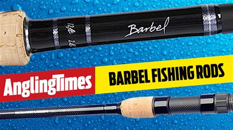 best barbel rods 2024: All budgets, styles, ranges covered