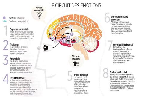 Les bienfaits de la colère pour l'enfant | Émotions, L'apprentissage ...