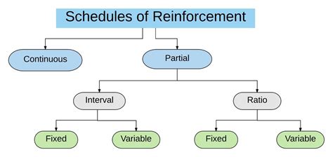 Schedules of reinforcement in animal training - Train Me Please