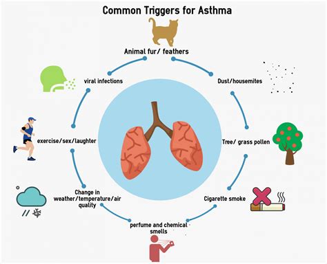 Our Essential Guide to Asthma - HTS First Aid Training