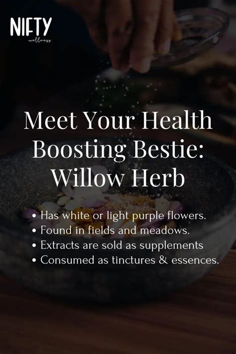 Discover 4 Small Flowered Willow Herb Benefits - Nifty Wellness