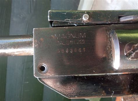 El Gamo magnum | El Gamo (Spain) | Vintage Airguns Gallery Forum