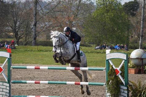 Grey Horse - Show jumping stock MHS 1.3 by MagicLecktra on DeviantArt