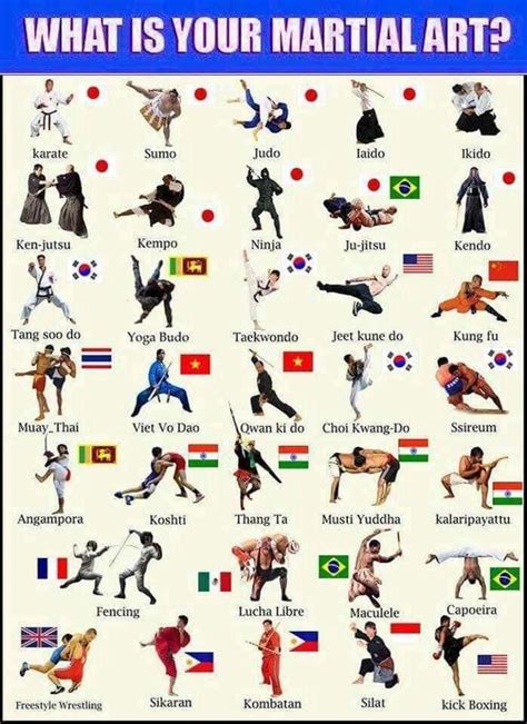 Types Of Martial Arts Styles | PISTOLHOLLER