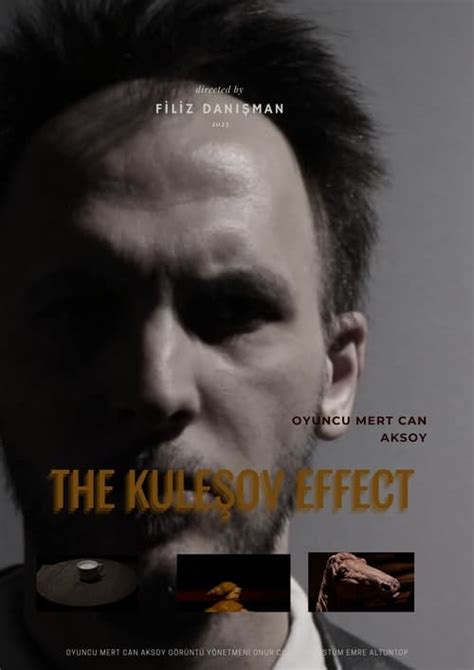 THE KULESHOV EFFECT (2023) — The Movie Database (TMDB)