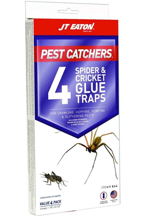 10 Best Silverfish Traps in 2021 You Should Know Of | Insect Hobbyist