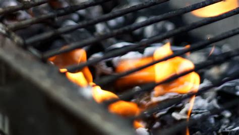 How To Grill Tri Tip? Here's What You Should Know About It