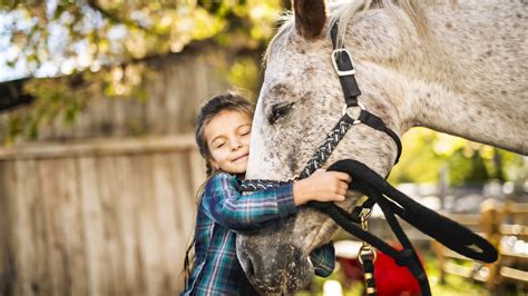 Healing Through Horses | Equine Assisted Therapy