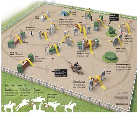 Infographic design | Show horses, Show jumping, Horse jumping exercises