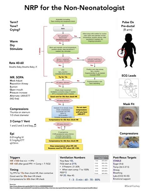 Neonatal and Child Resuscitation Principles – MOH EMS ECHO