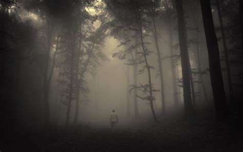 🔥 Download Creepy Foggy Wallpaper On by @larryzimmerman | Scary Fog ...