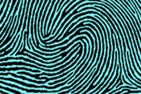 8 Types of Fingerprints & How Common They Are