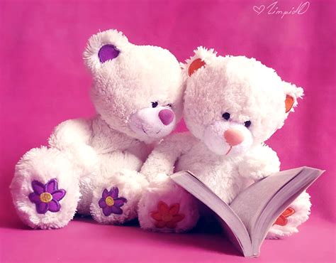 🔥 [76+] Cute Teddy Bears Wallpapers | WallpaperSafari