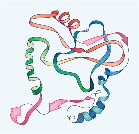 Biological Proteins | Earth Science | Visionlearning