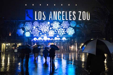 Week No. 22 | LA Zoo Lights