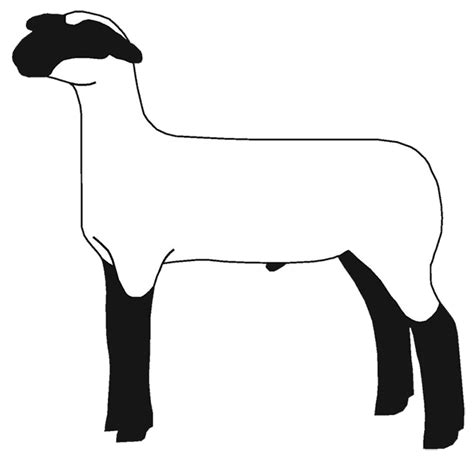 Free Show Lamb Clip Art | Sheep Graphics | Clublamb Images